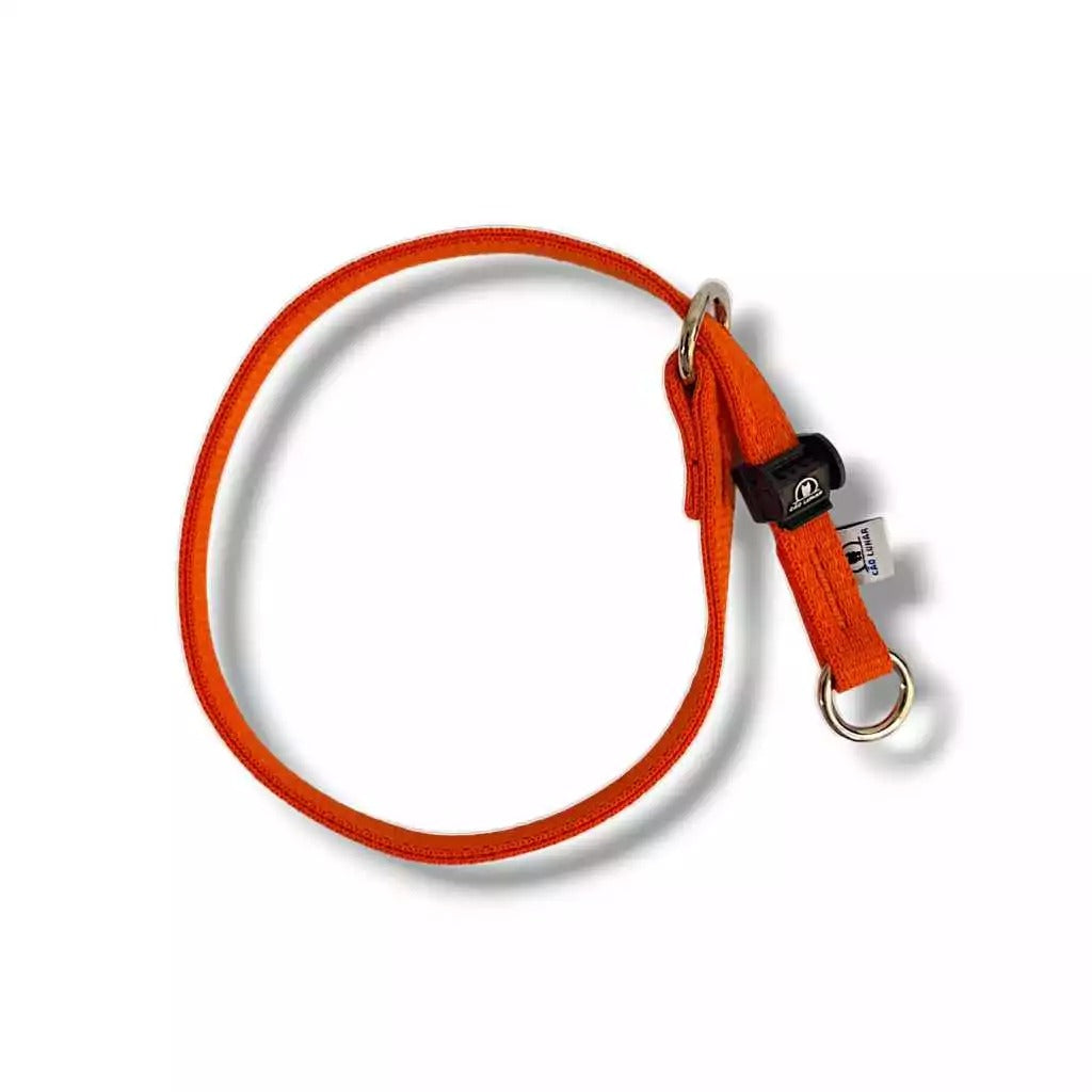 Colar educacional c/ trava